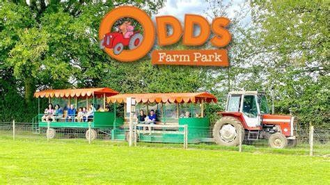 odds farm beaconsfield|ODDS FARM PARK: All You Need to Know BEFORE You Go (with Photos).